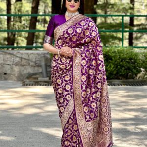 Purple Meenakari Uppada Katan Silk Handloom Banarasi Saree